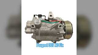 Peugeot 307 AC Compressor 5PK 12V R134a
